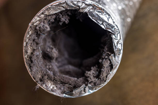 Best General Air Duct Cleaning  in Chevy Chase, MD
